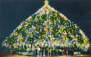 Worlds Largest Living Christmas Tree - Wilmington Worlds Largest Living Christmas Tree - Wilmington