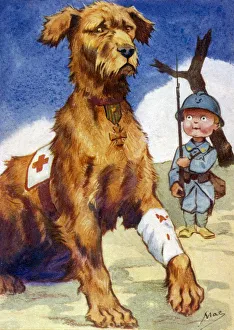 <b class=qtipBold><figcaption>Wounded Red Cross Dog</figcaption></b><br>A French soldier salutes a war hero - a Red Cross dog wounded in action.<br><em>© Mary Evans Picture Library</em> Wounded Red Cross Dog