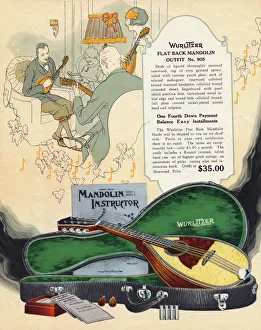 Flat Gallery: Wurlitzer Mandolin