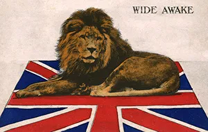 WW1 - The British Lion wide awake and ready for action WW1 - The British Lion wide awake and ready for action