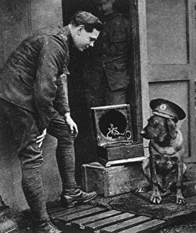 WW1 mascots: a war dog, wearing a cap