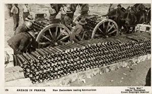 Loads Gallery: WW1 - New Zealand Anzac Troops loading ammunition, France