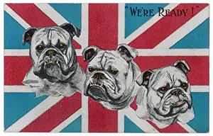 Flag Gallery: Ww1 Postcard Bulldogs