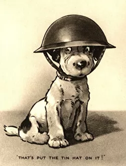 Related Images Collection: WW2 greetings card, dog in helmet