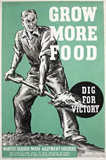 Produce Gallery: WW2 poster, Grow more food, dig for victory