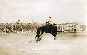 Y Canutt on Walter Rose during the Calgary Stampede Y Canutt on Walter Rose during the Calgary Stampede