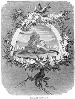 Popular themes, norse mythology, yggdrasil tree life norse mythology