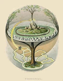 Mythology Collection: Yggdrasil, the Tree of Life in Norse mythology
