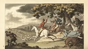 Wheelbarrow Gallery: Young English gentleman riding with hounds in a stag hunt