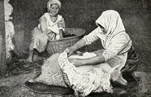 Young peasant woman shearing a sheep, Republic of Estonia Young peasant woman shearing a sheep, Republic of Estonia