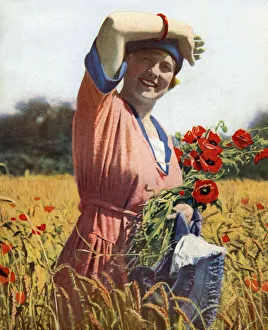 Young woman in a field of poppies, England Young woman in a field of poppies, England