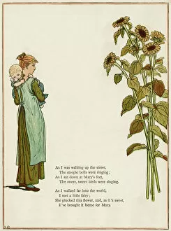 Images Dated 22nd November 2011: Young woman holding a baby, with sunflowers