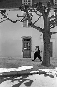 Two young women walk beneath a pollarded tree in Auxerre sur Two young women walk beneath a pollarded tree in Auxerre sur