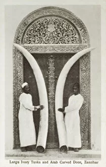 Tanzania Gallery: Zanzibar - Tanzania - Large Ivory Tusks