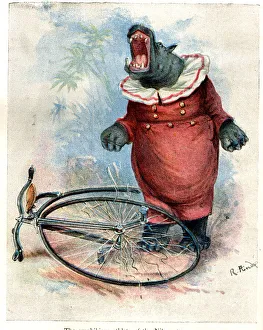 Zoo Animals Up To Date on Cycles - Hippo on Penny Farthing Zoo Animals Up To Date on Cycles - Hippo on Penny Farthing