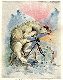 Zoo Animals Up To Date on Cycles - Polar Bear on Bicycle Zoo Animals Up To Date on Cycles - Polar Bear on Bicycle