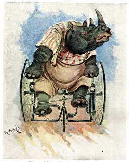 Zoo Animals Up To Date on Cycles, Rhinoceros on Velocipede Zoo Animals Up To Date on Cycles, Rhinoceros on Velocipede