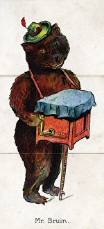 Zoological Misfitz - Mr Bruin, organ grinder Zoological Misfitz - Mr Bruin, organ grinder
