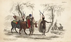 Zulu family travelling with herd of cattle Zulu family travelling with herd of cattle