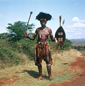 Spear Collection: Zulu Warrior