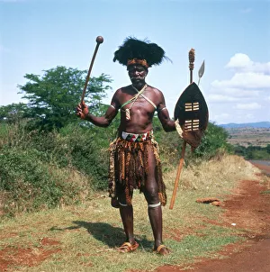 Zulu Warrior