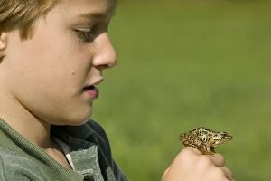 Images Dated 1st September 2004: 7 year old boy with Pickerel Frog in hand
