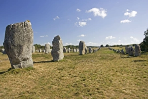 Alignements de Menec lines of prehistoric megaliths or standing stones Alignements de Menec lines of prehistoric megaliths or standing stones
