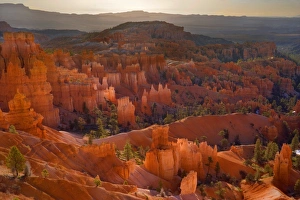 Amphitheatre - view from sunset point over the amphitheatre of hoodoos Amphitheatre - view from sunset point over the amphitheatre of hoodoos