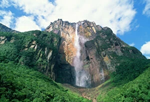 Rainforest Collection: Angel Falls Venezuela