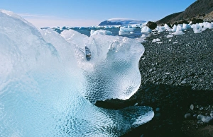 Antarctic - Brown Bluff, Antarctic Peninsular Antarctic - Brown Bluff, Antarctic Peninsular