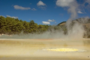 Artists Palette - the wide range of colours of this area stem from overflowing water of the adjoining Champagne Pool Artists Palette - the wide range of colours of this area stem from overflowing water of the adjoining Champagne Pool