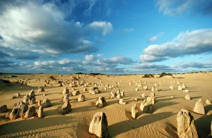 Australia - The Pinnacles, Limestone Australia - The Pinnacles, Limestone