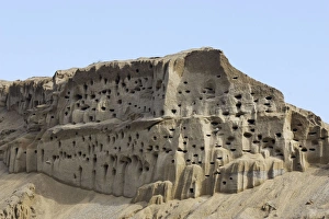 Bank Swallow / Sand Martin - nest holes at colony in sand bank Bank Swallow / Sand Martin - nest holes at colony in sand bank