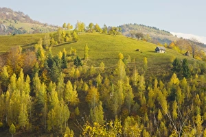 Beautiful pastoral montane landscape, with traditional agriculture in Piatra Criaulu Beautiful pastoral montane landscape, with traditional agriculture in Piatra Criaulu