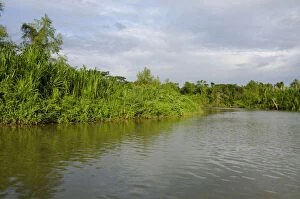 Belize, District of Toledo, Monkey River