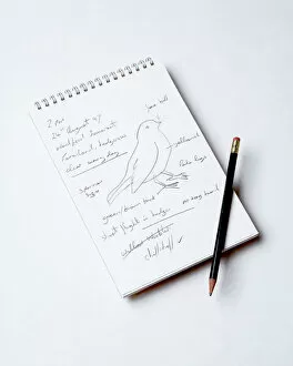 Images Dated 7th April 2010: Bird Watcher's Notebook - and pencil