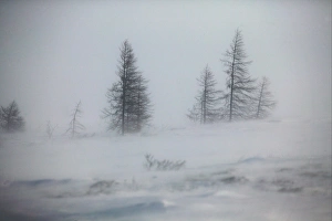 Blizzard. Churchill. Manitoba. Canada Blizzard. Churchill. Manitoba. Canada