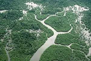 Images Dated 23rd February 2005: Borneo Aerial of mangrove Forest Sandakan, Sabah