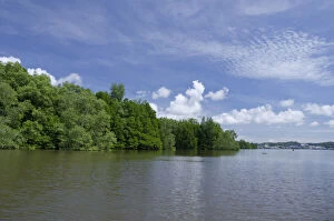 Borneo, Brunei. Dense mangrove forest along