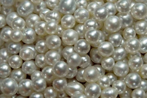 Cultured Gallery: Bowl of pearls cultured from silver-lipped