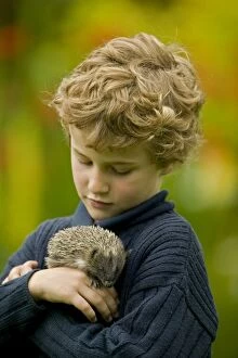 Images Dated 18th July 2004: Boy - age 6 - holding orphaned hedgehog