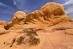 Brainrocks - carved rock made of jurrasic-age Navajo Sandstone that is approximately 190 Brainrocks - carved rock made of jurrasic-age Navajo Sandstone that is approximately 190