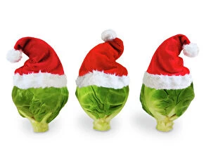 Food Collection: Brussel Sprouts - in Christmas hats Digital Manipulation: SU hats
