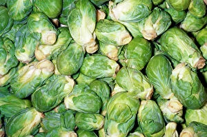 Food Collection: Brussels Sprouts Developed in Brussels, Belgium