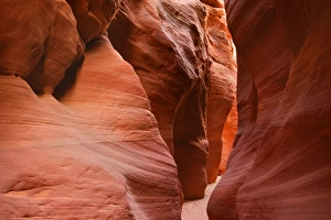 Buckskin Gulch Narrows - a very narrow and high section in this slot canyon with Buckskin Gulch Narrows - a very narrow and high section in this slot canyon with