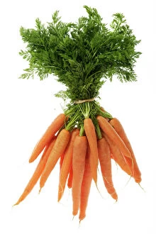 Carrots - tied in bunch, showing leaf tops