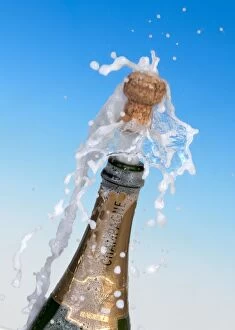 Foam Gallery: Champagne cork shooting out of the bottle