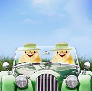 Two chicks driving green sports car wearing Easter bonnets in spring Date: 16-05-2007 Two chicks driving green sports car wearing Easter bonnets in spring Date: 16-05-2007