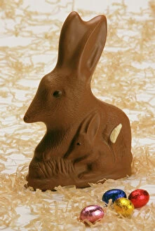 Images Dated 25th August 2009: Chocolate Bilby - Australia's version of the Easter bunny JLR07151