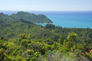 Coromandel Coastline - dense coastal bush vegetation grows right to the shoreline Coromandel Coastline - dense coastal bush vegetation grows right to the shoreline